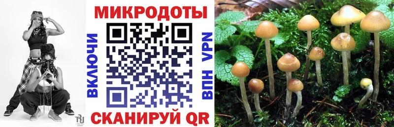 Псилоцибиновые грибы прущие грибы  Лысково 